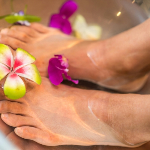 Album Queenie Spa 1